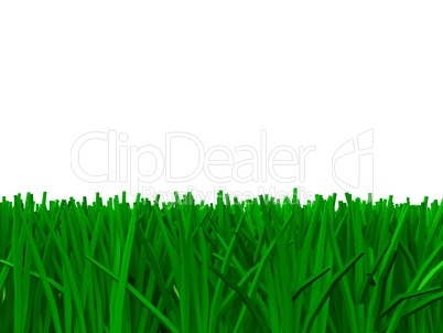 Grünes Gras 3D - 02