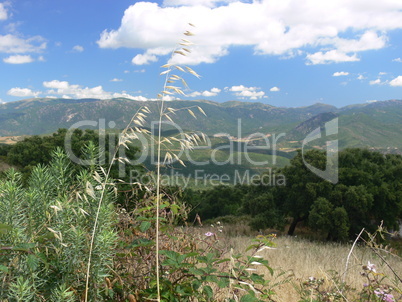 Landschaft auf Sardinien 1