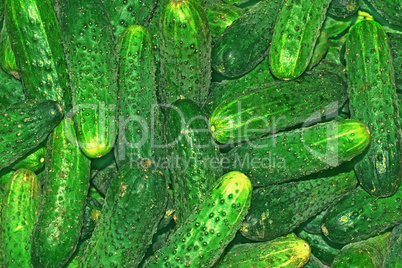 Cucumbers background