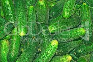 Cucumbers background