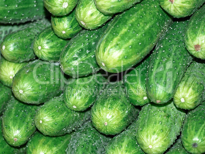 cucumbers