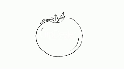 Drawing of a tomato