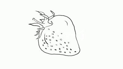 Drawing of a strawberry