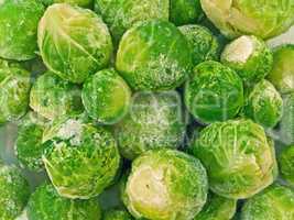 the Brussels sprout