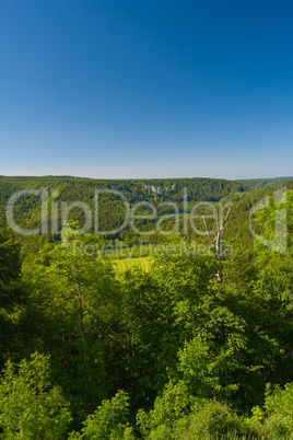 Im Donautal - In the Donau valley