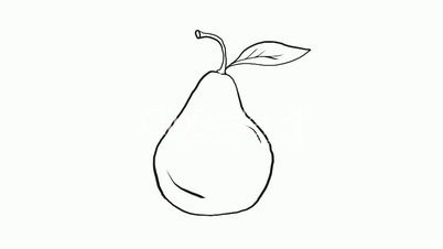 Drawing of a pear