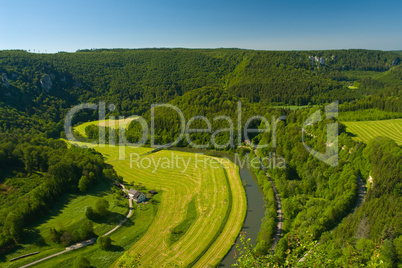 Im Donautal - In the Donau valley