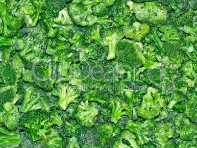 the Broccoli