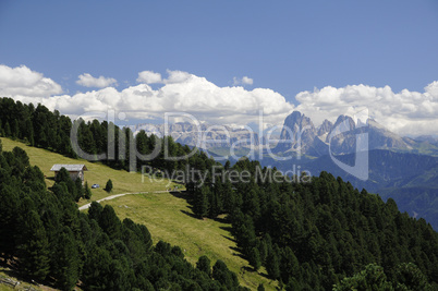 Blick von der Villanderer Alm zu den Dolomiten