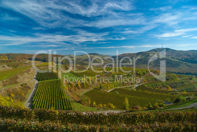 Landschaft am Kaiserstuhl Landscape in Kaiserstuhl/Germany