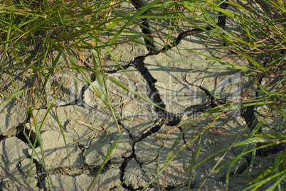 Ausgetrockneter Boden - Dried soil