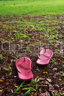 slippers on grass field