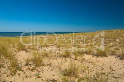 Dünen am Atlantik, Frankreich - Dunes at the atlantic ocean, fra