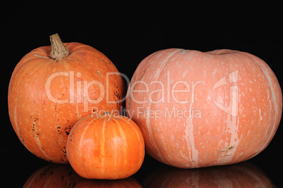 three pumpkins