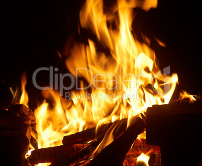 Closeup of burning fire wood