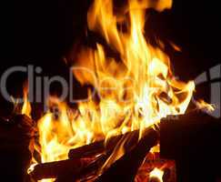 Closeup of burning fire wood