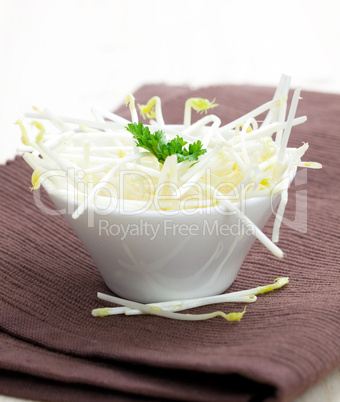 frische Sprossen / fresh sprouts