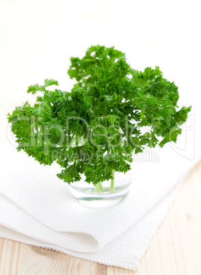 frische Petersilie im Glas / fresh parsley in a glass