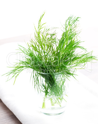 Dill im Wasserglas / dill in a glass of water