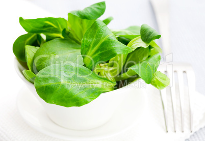 Feldsalat in Schale / lambs lettuce in bowl