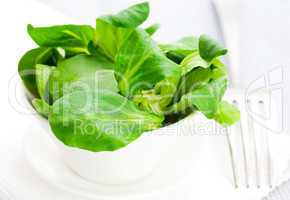 Feldsalat in Schale / lambs lettuce in bowl