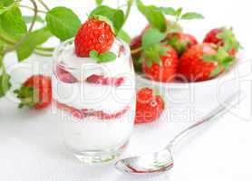 frisches Erdbeerdessert / fresh strawberry dessert