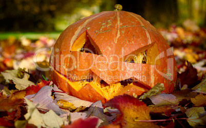 Creepy carved pumpkin. Closeup shot in autumn park.