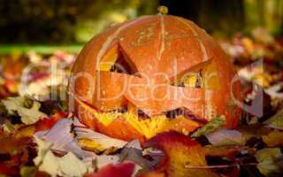 Creepy carved pumpkin. Closeup shot in autumn park.