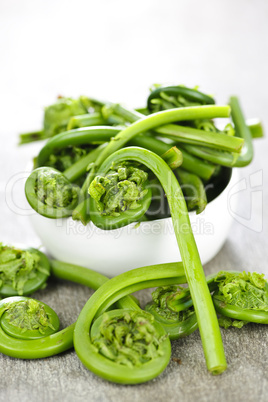 Fiddleheads