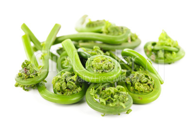 Fiddleheads