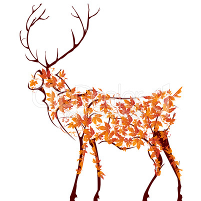 Deer