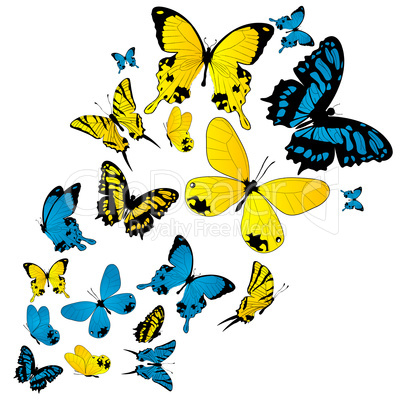 Butterflies background