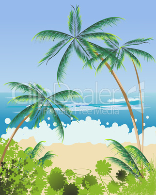 Beach landscape