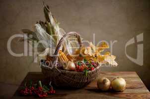 Herbstliches Stilleben mit Mais in Weidenkorb