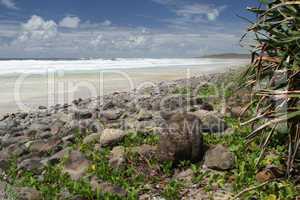 Strand in Australien