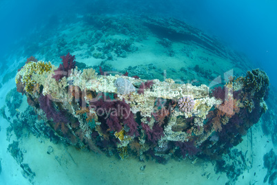 Abandoned remains of a cargo container