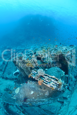 Abandoned cargo from shipwreck