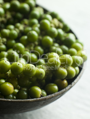 Green Peppercorns on the vine