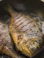 Emperor Bream Roasted with Tikka spices