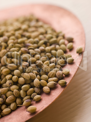 Dish of Coriander Seeds