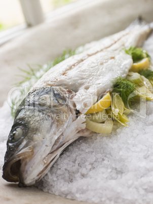 Whole Seabass Roasted in a Sea Salt Crust with Fennel