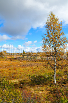 Schweden im Herbst