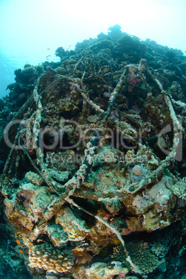 Wreckage from a the Lara shipwreck