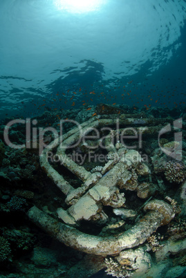 Wreckage from a the Lara shipwreck