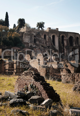 Forum Romanum Detail