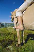 Young woman on horse