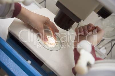 Embryologist adding sperm to egg