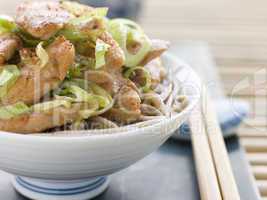 Bowl of Chicken and Leek Soba Noodles in Broth