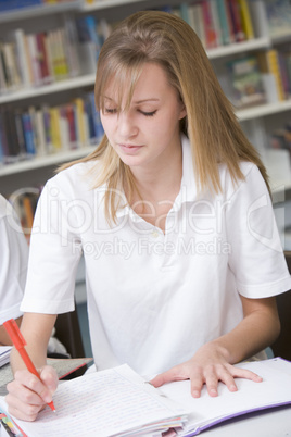 Student studying in library