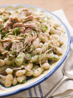 Bowl of Tuna and Bean Salad